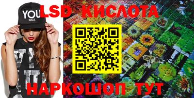 мдпв Донской