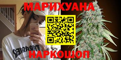 мдпв Донской